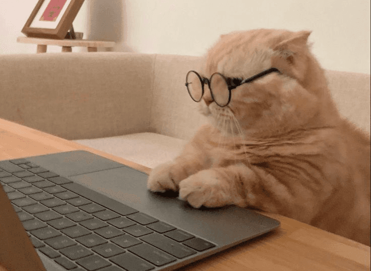 Imagem da sessão primária da página extra